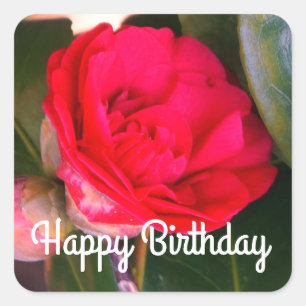 Happy Birthday Red Camellia Stickers