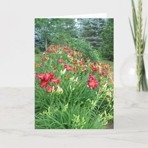 Happy Birthday -Red Lily Garden II Card