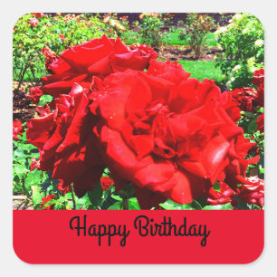 Happy Birthday Red Rose #1 Stickers