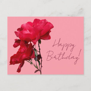 Happy Birthday red rose flowers boho floral pretty Postcard