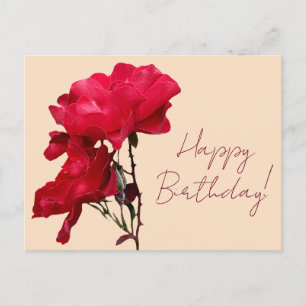 Happy Birthday red rose flowers boho floral pretty Postcard