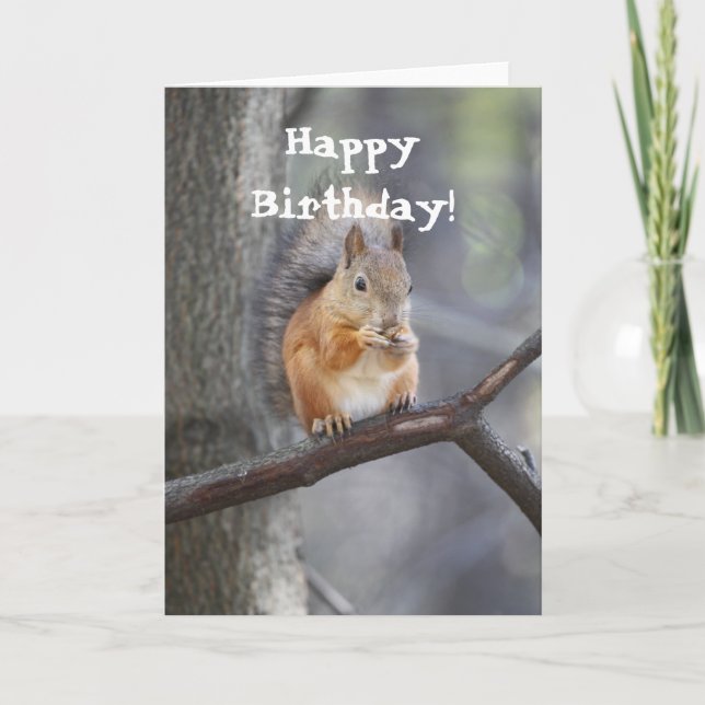 Happy Birthday Red Squirrel Greeting card (Front)