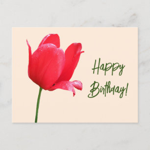 Happy Birthday red tulip minimalist floral boho Postcard