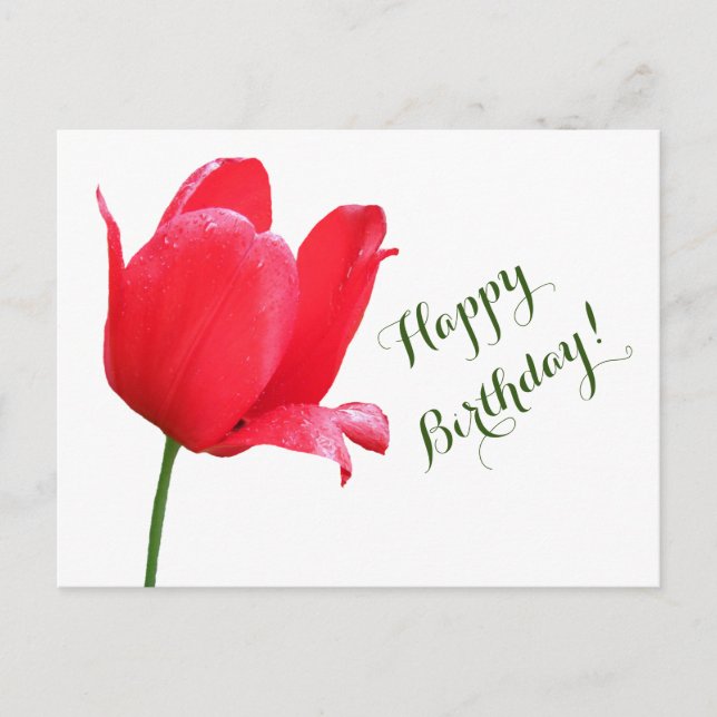Happy Birthday red tulip minimalist floral boho  Postcard (Front)