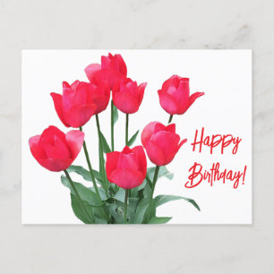 Happy Birthday red tulips colourful bright floral Postcard