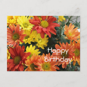 Happy birthday, red, yellow & orange daisy flower postcard