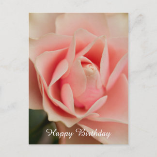 Happy Birthday Rose Postcard