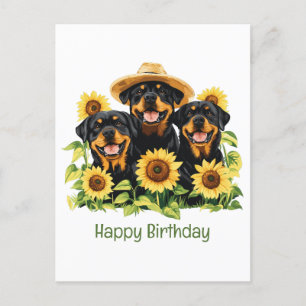 Happy Birthday Rottweiler Dogs Sunflowers Postcard