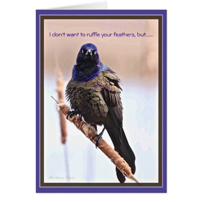 Happy Birthday: Ruffled feathers (Front)