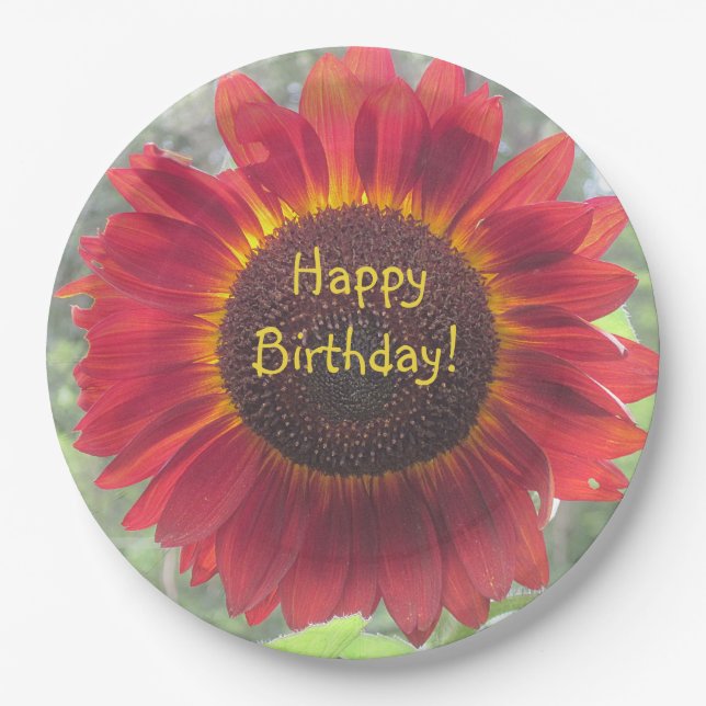 Happy Birthday Rusty Sunflower Paper Plate (Front)