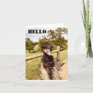 "HAPPY BIRTHDAY" SAYS OSTRICH  CARD