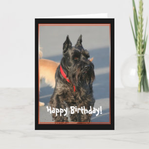Happy Birthday Scottish Terrier Greeting Card