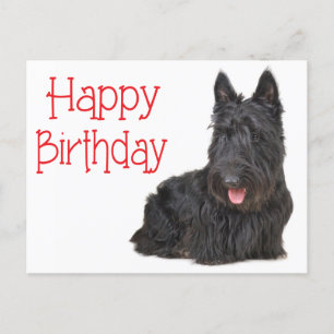Happy Birthday Scottish Terrier Puppy Postcard