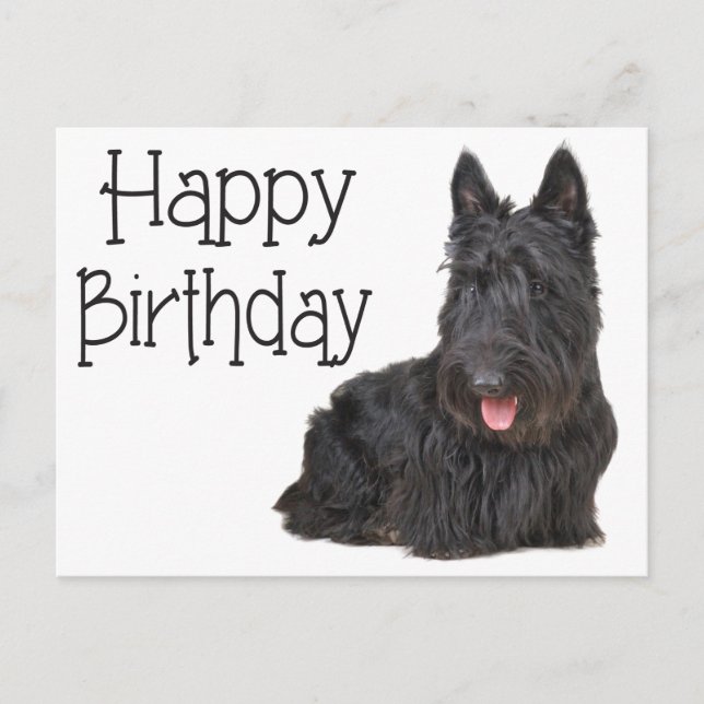 Happy Birthday Scottish Terrier Puppy Postcard (Front)