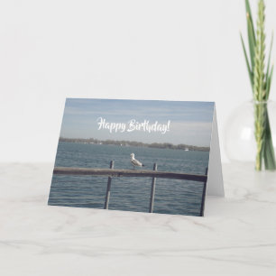 Happy Birthday Seagull Card