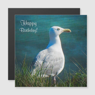 Happy Birthday Seagull Magnetic Card