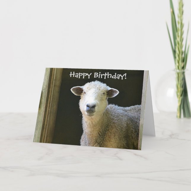 Happy Birthday Sheep Card (Front)