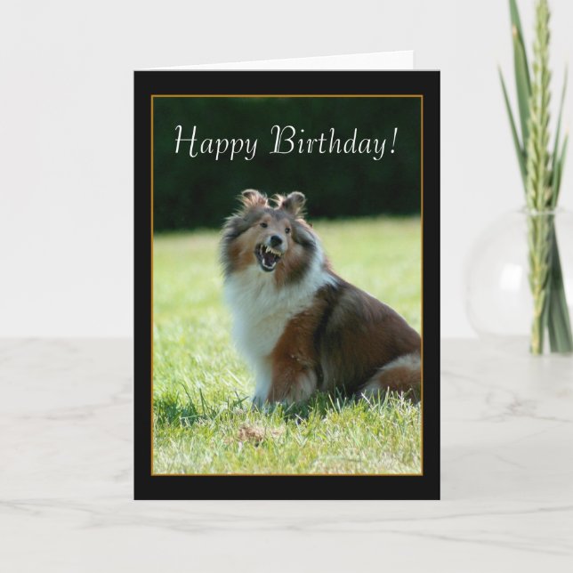Happy Birthday Shetland Sheepdog greeting card (Front)