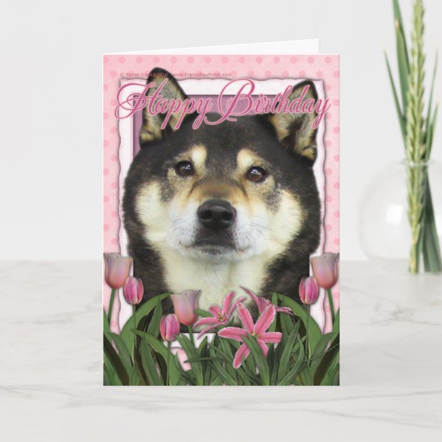 Happy Birthday - Shiba Inus - Yasha Card (Front)