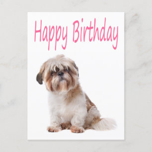 Happy Birthday Shih Tzu Puppy Postcard