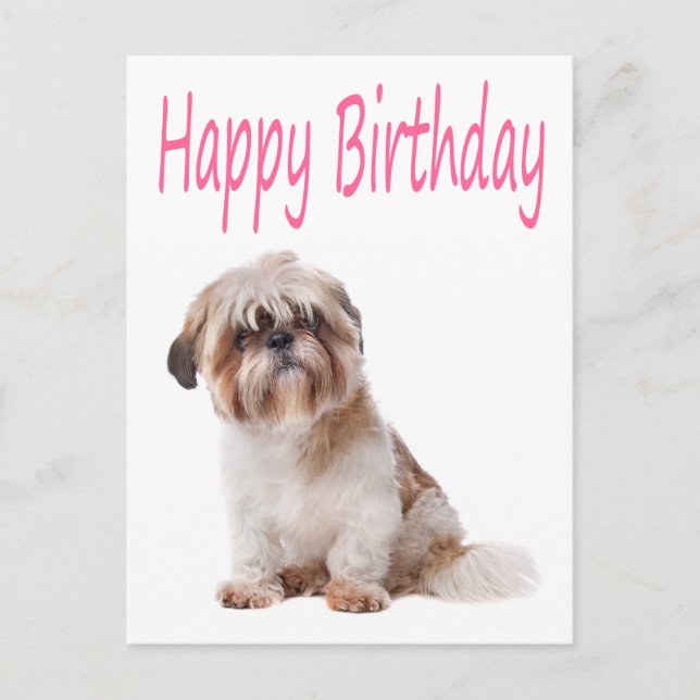 Happy Birthday Shih Tzu Puppy Postcard (Front)