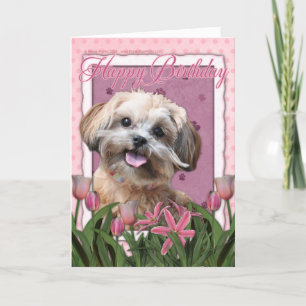 Happy Birthday - ShihPoo - Maggie Card