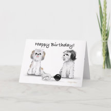 Happy Birthday Shitzu's