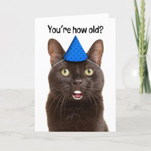 Happy Birthday Shocked Cat with Human Teeth Humou Holiday Card
