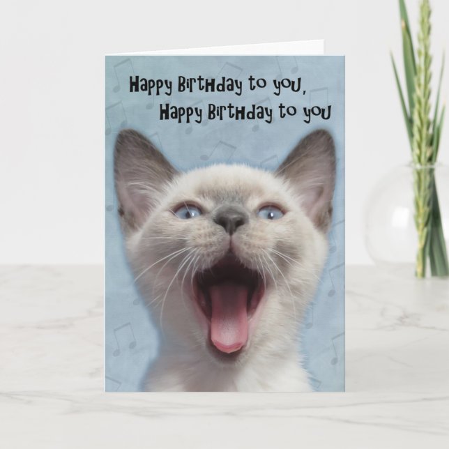 Happy Birthday Siamese Kitten Card (Front)