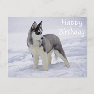 Happy Birthday Siberian Husky Puppy Dog Post Card
