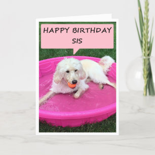HAPPY BIRTHDAY SIS-SWIMMING DOG COMING YOUR WAY CARD