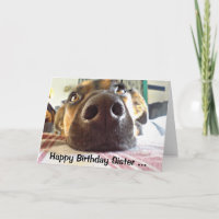 Happy Birthday Sister One I look up to! Cute Dog