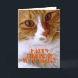 Happy Birthday Sister - Sweet Cat Card<br><div class="desc">Wish your sister a "Happy Birthday",  with this cute card from my "Kitty Koolness" Collection,  featuring an adorable orange and white kitty. The inside can be kept as is,  or personalised by you for that added touch. photo by designer.</div>