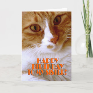 Happy Birthday Sister - Sweet Cat Card