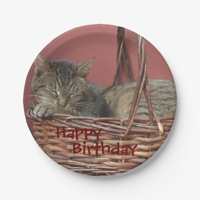 Happy Birthday Sleeping Kitty Paper Plate (Front)