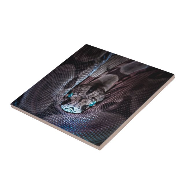 Happy Birthday Snake  Ceramic Tile (Side)