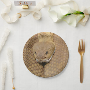 Happy Birthday Snake Party Plates