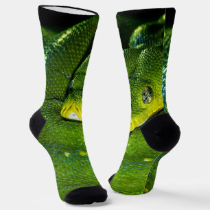 Happy Birthday Snake Print Socks Snake