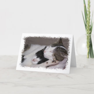 Happy Birthday Snuggle Baby Card