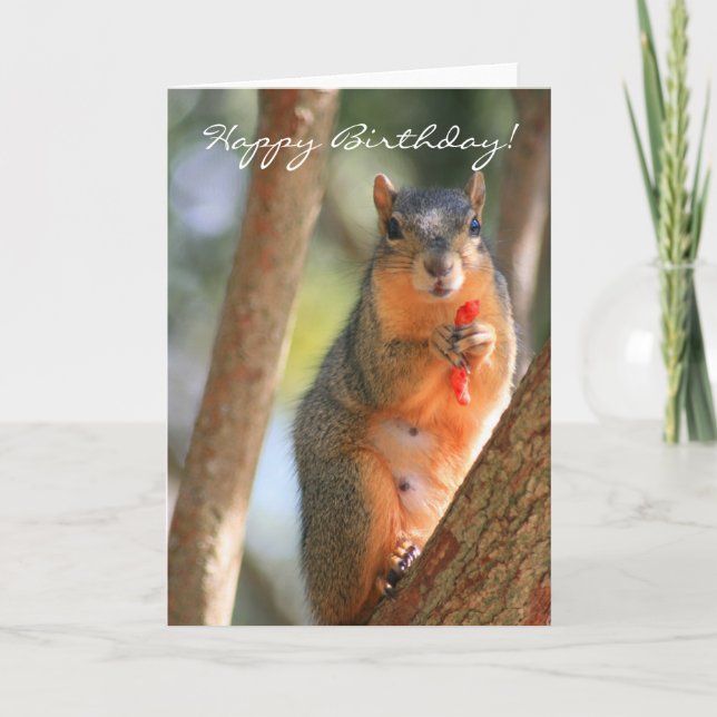Happy Birthday squirrel greeting card (Front)