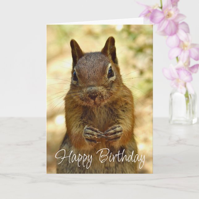 Happy Birthday Squirrel Looking for Cake Card (Orchid)