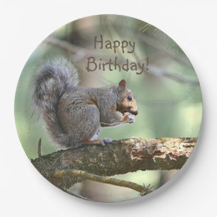 Happy Birthday Squirrel Paper Plate