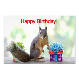 Happy Birthday Squirrel Photo Print