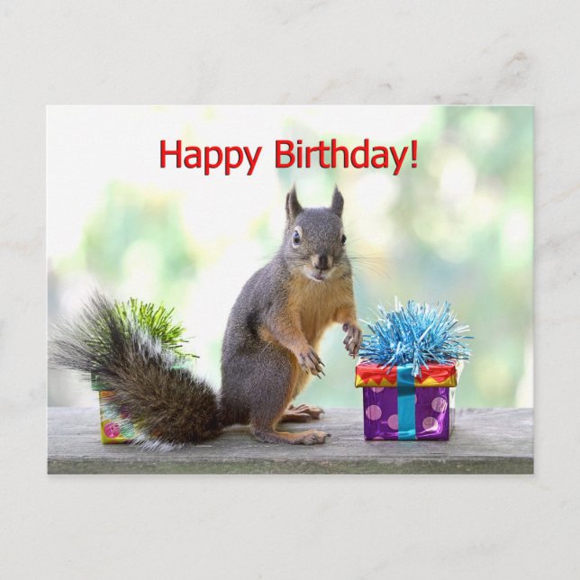 Happy Birthday Squirrel Postcard (Front)