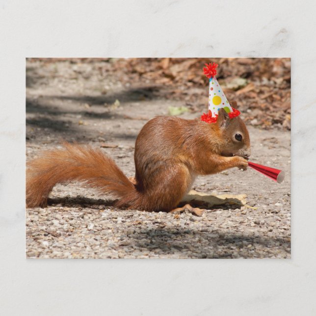 Happy Birthday Squirrel Postcard (Front)