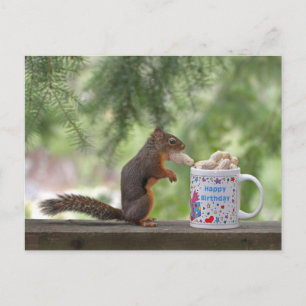 Happy Birthday Squirrel Postcard
