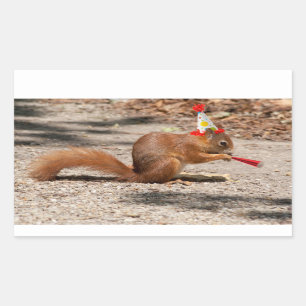Happy Birthday Squirrel Rectangular Sticker