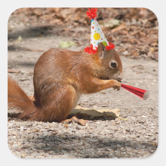Happy Birthday Squirrel Square Sticker (Front)