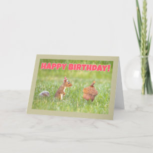 Happy Birthday Squirrel With Big Acorn Humour Holiday Card