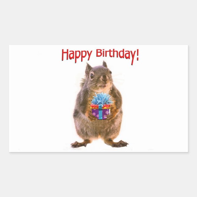 Happy Birthday Squirrel with Present Rectangular Sticker (Front)